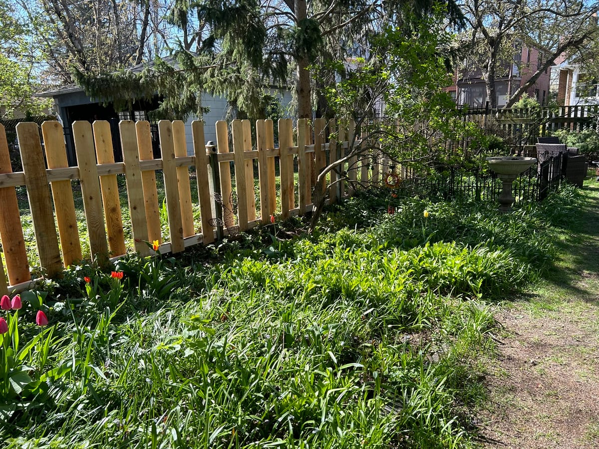 Dog-Eared Picket Fence Replacement