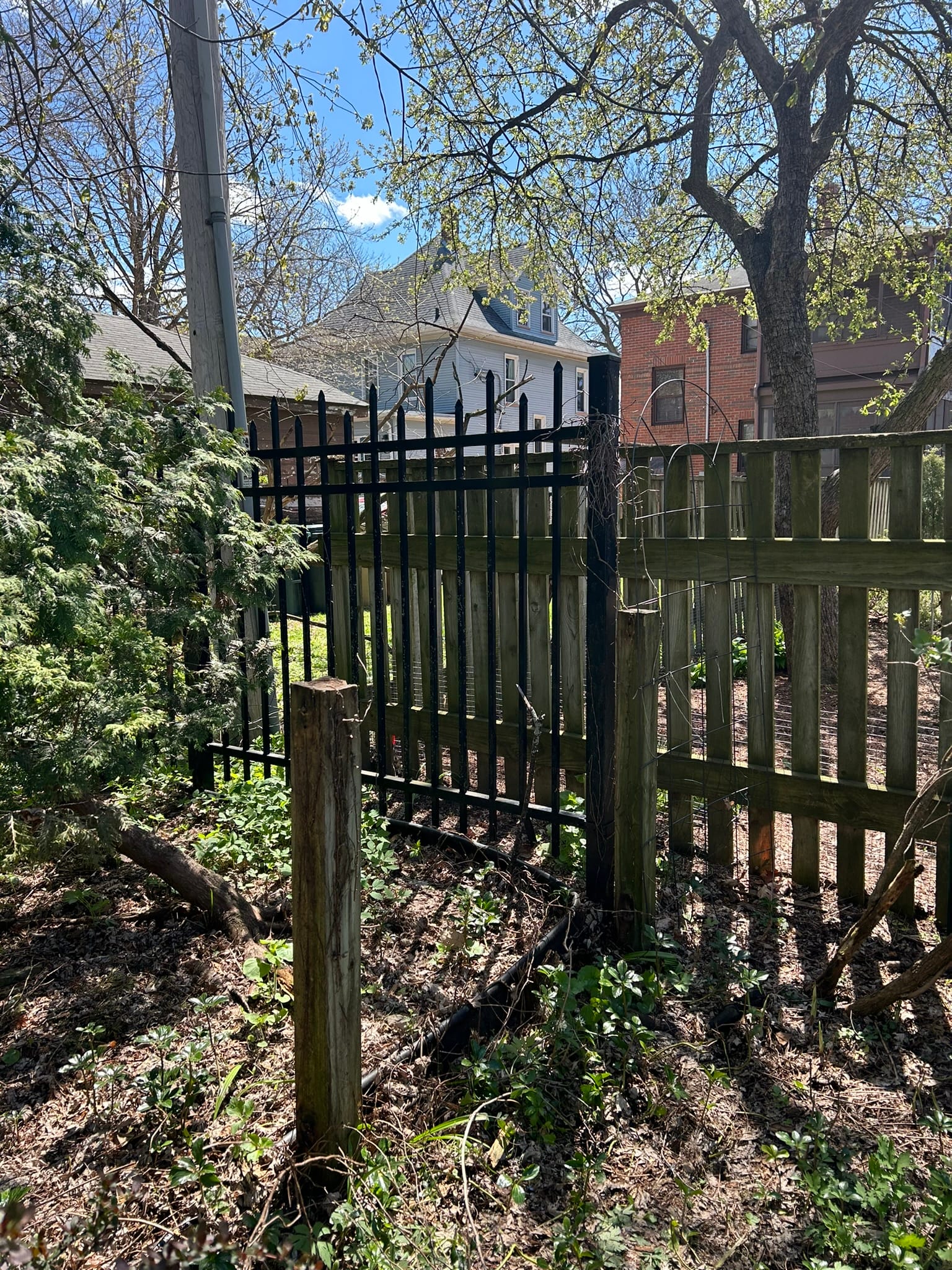 Fence Posts after picket removal